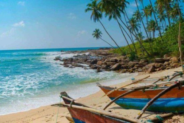 Beach-Tours-3-768x359